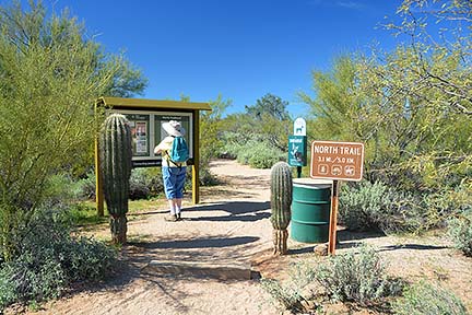 McDowell Mountain Regional Park, February 12, 2015